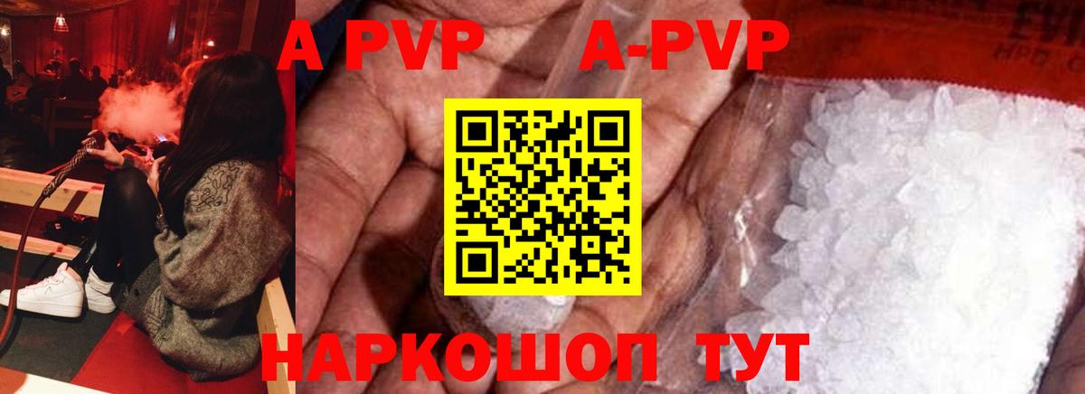 A PVP СК КРИС Альметьевск